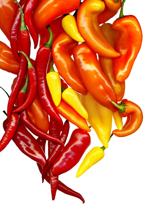 Foodfotografie pepers in kleurrijke sfeer 01  - bekijk ons portfolio